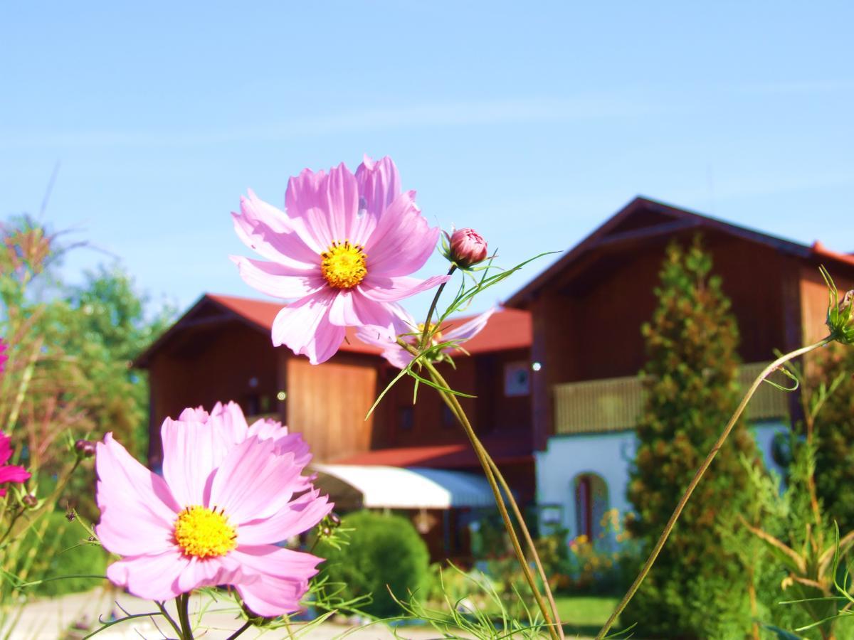 Bed and Breakfast Pollushof Panzio Es Etterem Csolnok Экстерьер фото